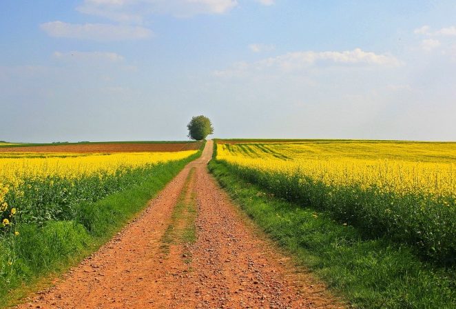 Ziemia rolna w Polsce dalej drożeje