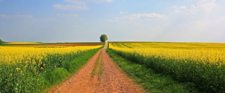 Ziemia rolna w Polsce dalej drożeje